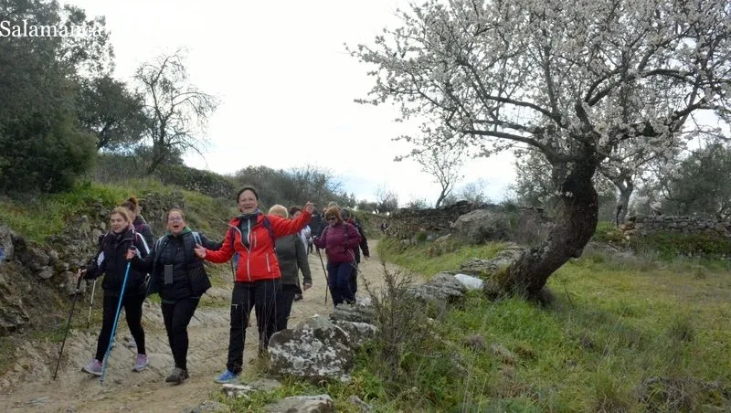 La ruta discurrió por caminos y campos salpicados de almendros en flor