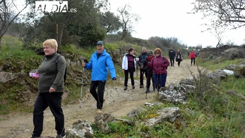 La ruta discurrió por caminos y campos salpicados de almendros en flor