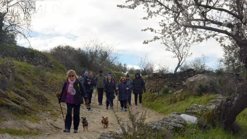 La ruta discurrió por caminos y campos salpicados de almendros en flor