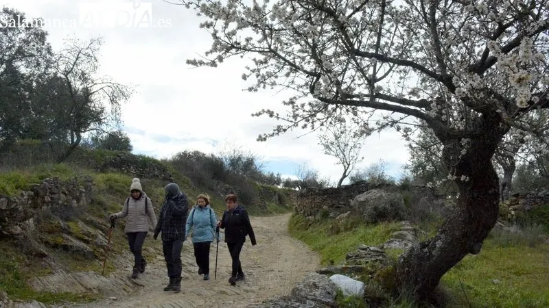 La ruta discurrió por caminos y campos salpicados de almendros en flor