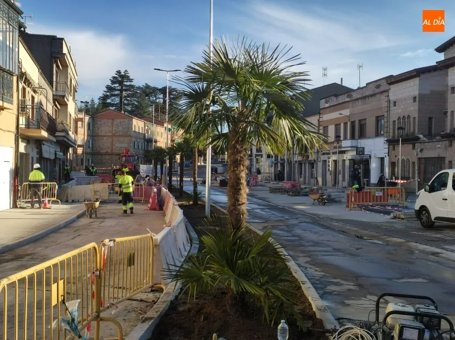 Foto 4 - Plantadas las primeras palmeras de la &lsquo;nueva&rsquo; Avenida de Espa&ntilde;a