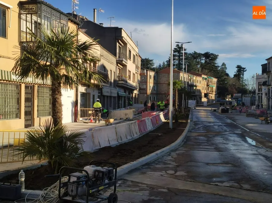 Foto 3 - Plantadas las primeras palmeras de la &lsquo;nueva&rsquo; Avenida de Espa&ntilde;a