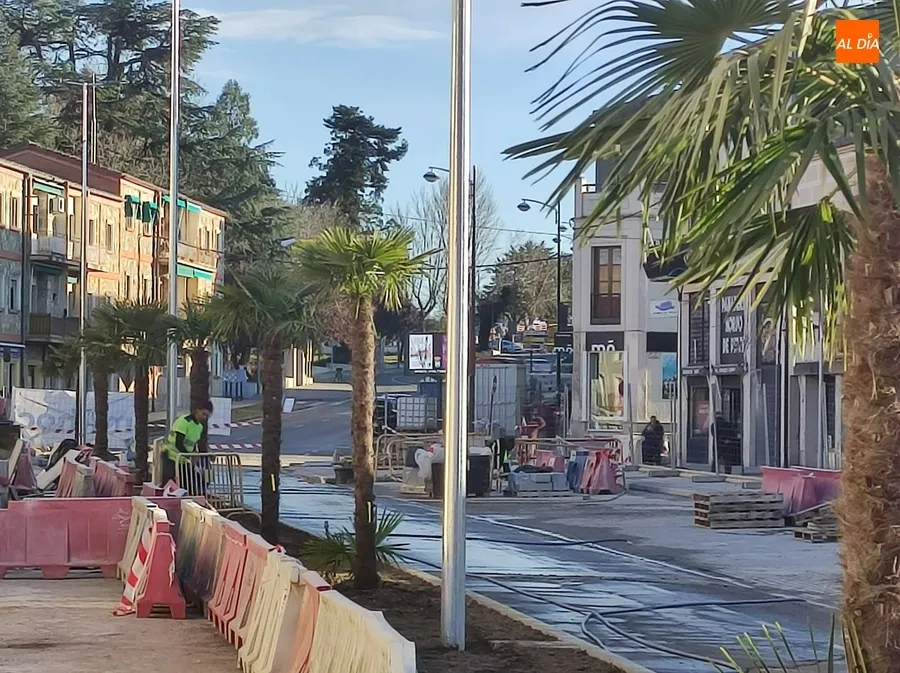 Foto 2 - Plantadas las primeras palmeras de la &lsquo;nueva&rsquo; Avenida de Espa&ntilde;a