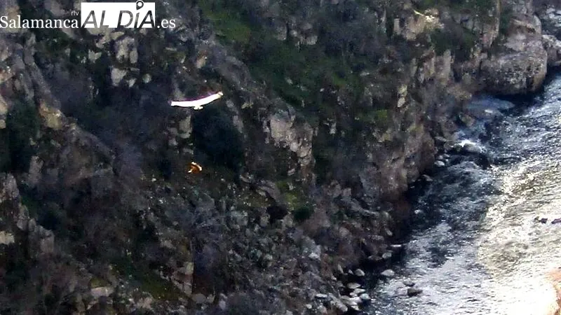 El grupo de senderistas del club Abadengo en el paraje 'el castillo' de Barruecopardo