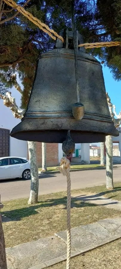 Foto 10 - Los usuarios de Asprodes visten de Carnaval la Plaza de Sanjuanejo