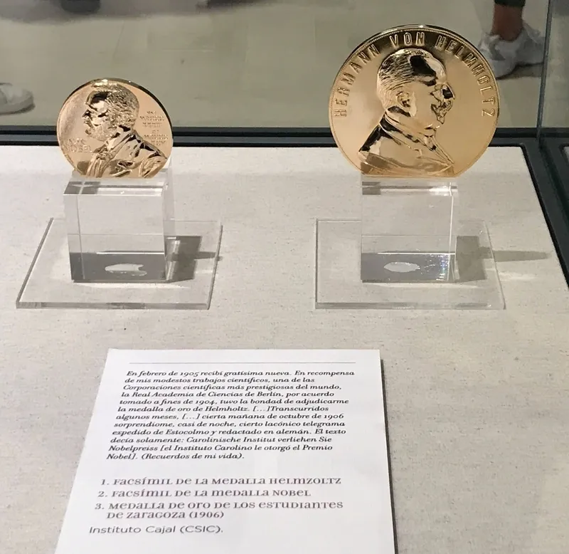 Foto 2 - As&iacute; ha sido la visita del San Juan Bosco a la exposici&oacute;n de dibujos de Santiago Ram&oacute;n y Cajal