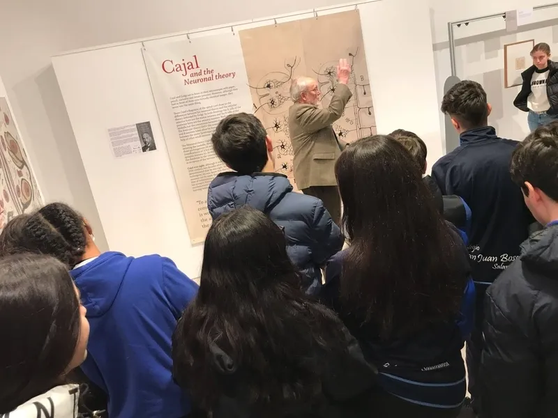 Foto 7 - As&iacute; ha sido la visita del San Juan Bosco a la exposici&oacute;n de dibujos de Santiago Ram&oacute;n y Cajal