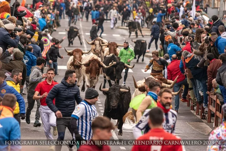 Foto 7 - Elegidas las 12 fotograf&iacute;as que integrar&aacute;n el Calendario Carnavalero 2023/2024