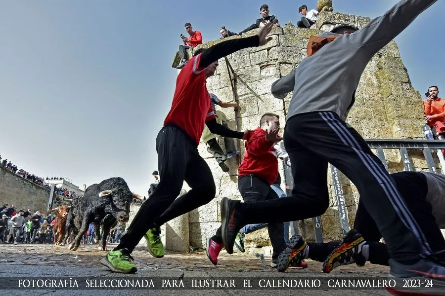 Foto 6 - Elegidas las 12 fotograf&iacute;as que integrar&aacute;n el Calendario Carnavalero 2023/2024