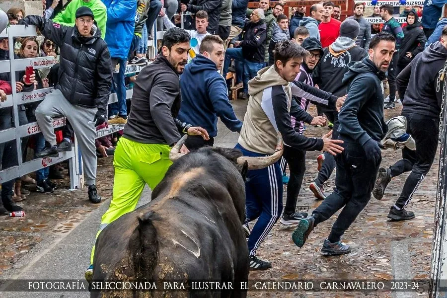 Foto 4 - Elegidas las 12 fotograf&iacute;as que integrar&aacute;n el Calendario Carnavalero 2023/2024