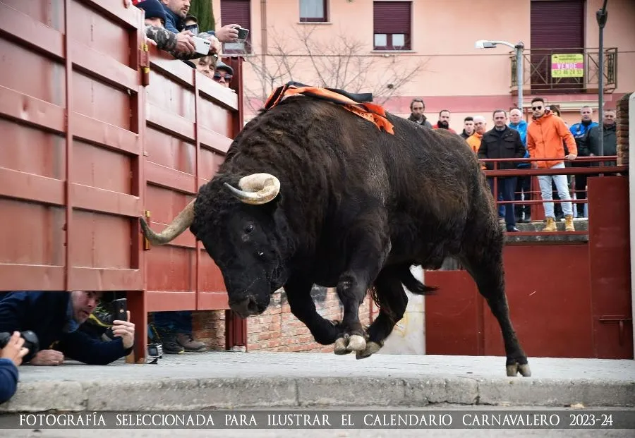 Foto 3 - Elegidas las 12 fotograf&iacute;as que integrar&aacute;n el Calendario Carnavalero 2023/2024