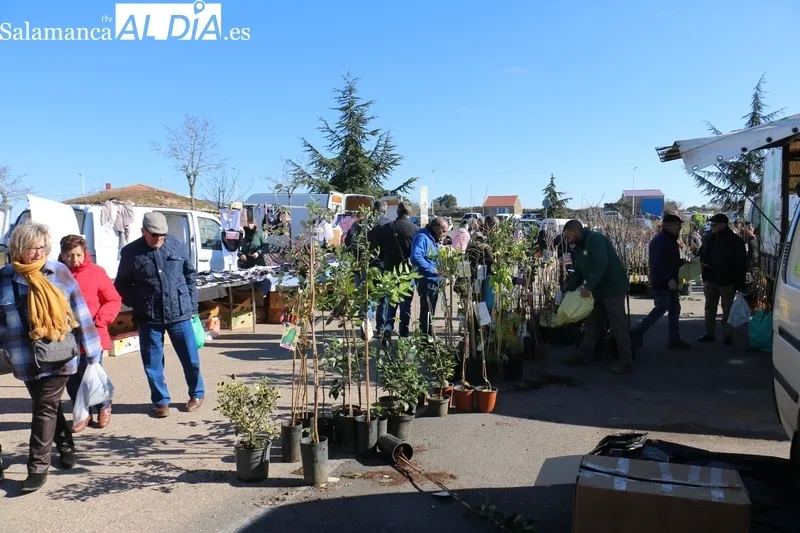 Multitudinario mercadillo portugués en Trabanca el de este primer domingo de febrero / CORRAL 