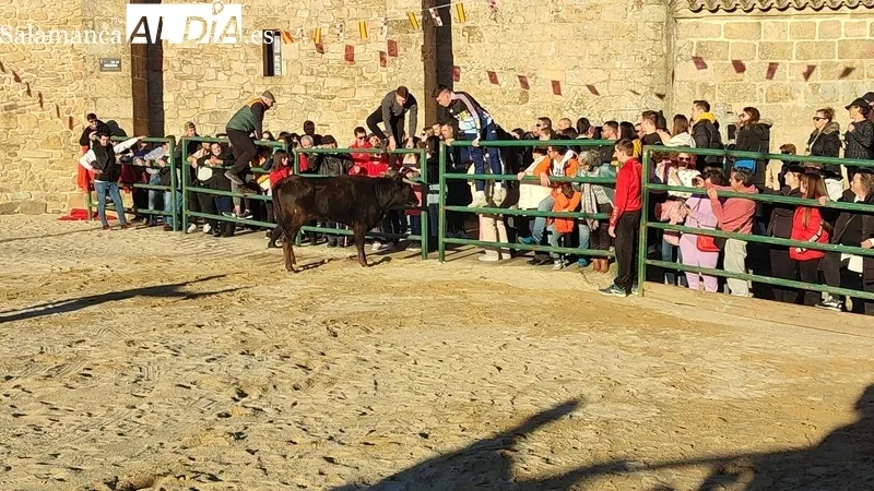 Capea de vaquillas en Corporario por las fiestas de San Blas / CORRAL