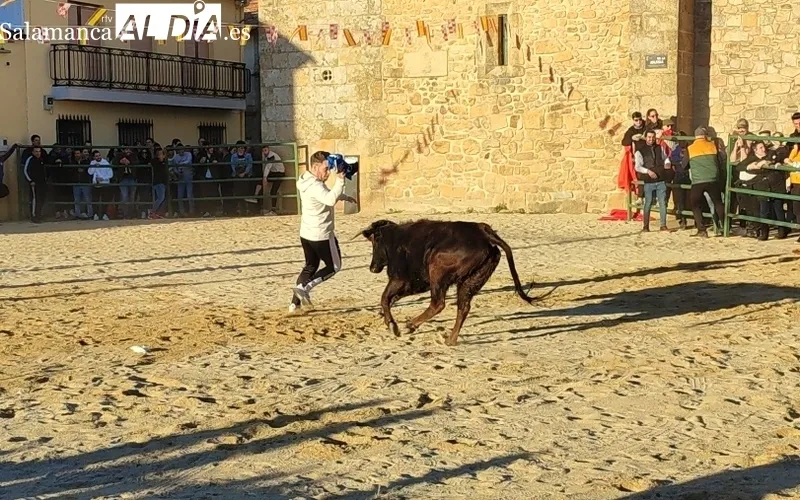 Capea de vaquillas en Corporario por las fiestas de San Blas / CORRAL