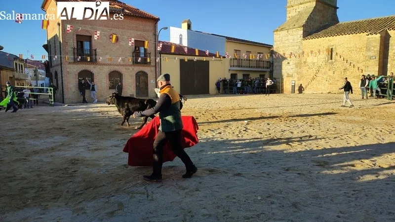 Capea de vaquillas en Corporario por las fiestas de San Blas / CORRAL