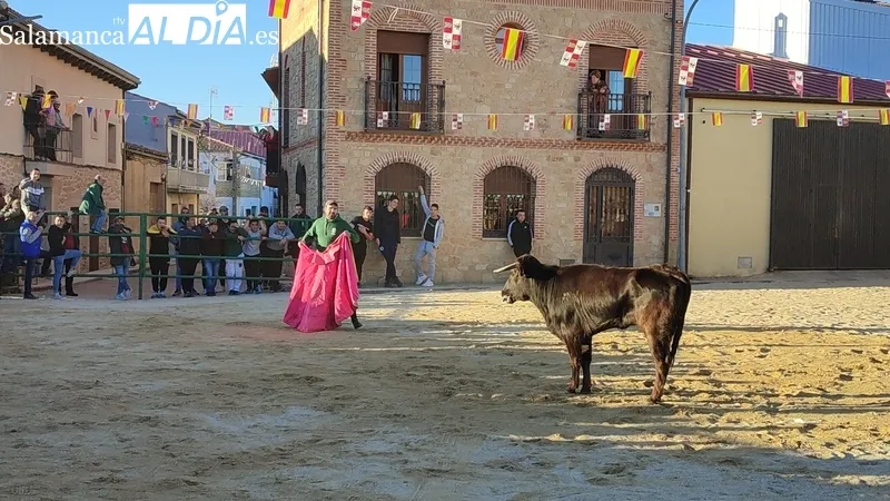 Capea de vaquillas en Corporario por las fiestas de San Blas / CORRAL