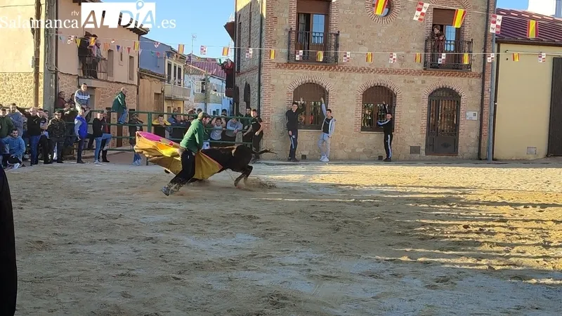 Capea de vaquillas en Corporario por las fiestas de San Blas / CORRAL