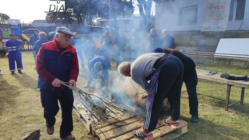 Fiesta de la Matanza Tradicional en Cipérez / CORRAL 