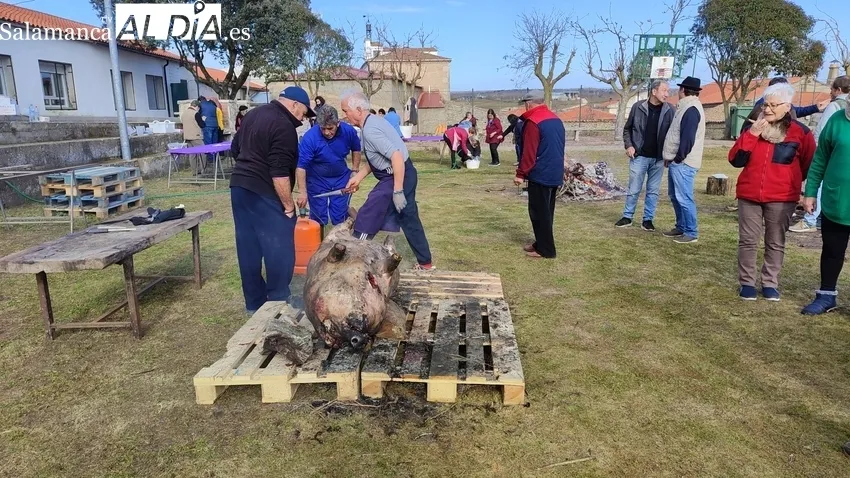 Fiesta de la Matanza Tradicional en Cipérez / CORRAL 