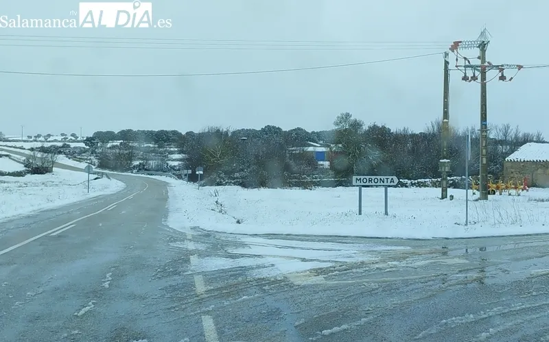 Nevada en Moronta