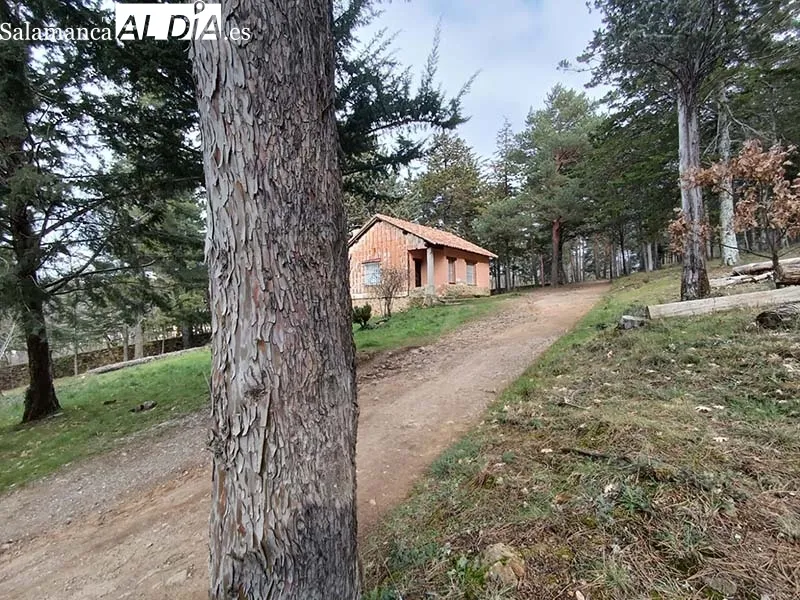 Foto 2 - Al rescate del templo veron&eacute;s de B&eacute;jar