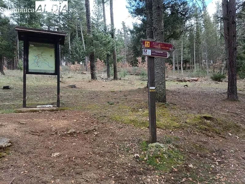 Foto 4 - Al rescate del templo veron&eacute;s de B&eacute;jar