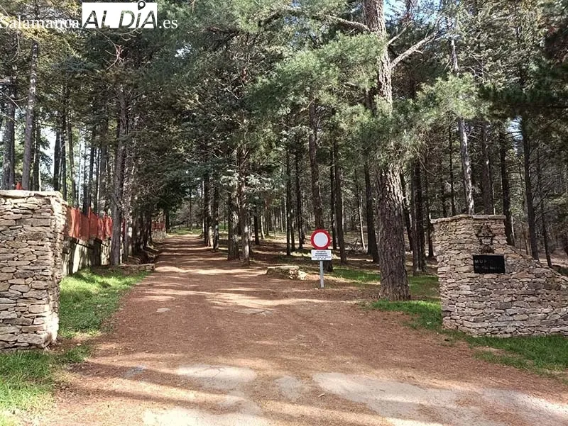 Foto 6 - Al rescate del templo veron&eacute;s de B&eacute;jar