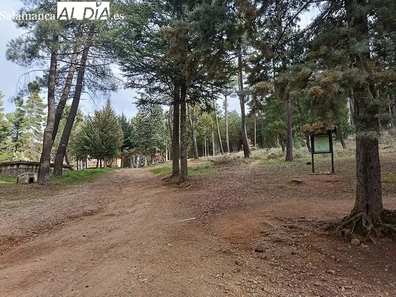 Foto 5 - Al rescate del templo veron&eacute;s de B&eacute;jar
