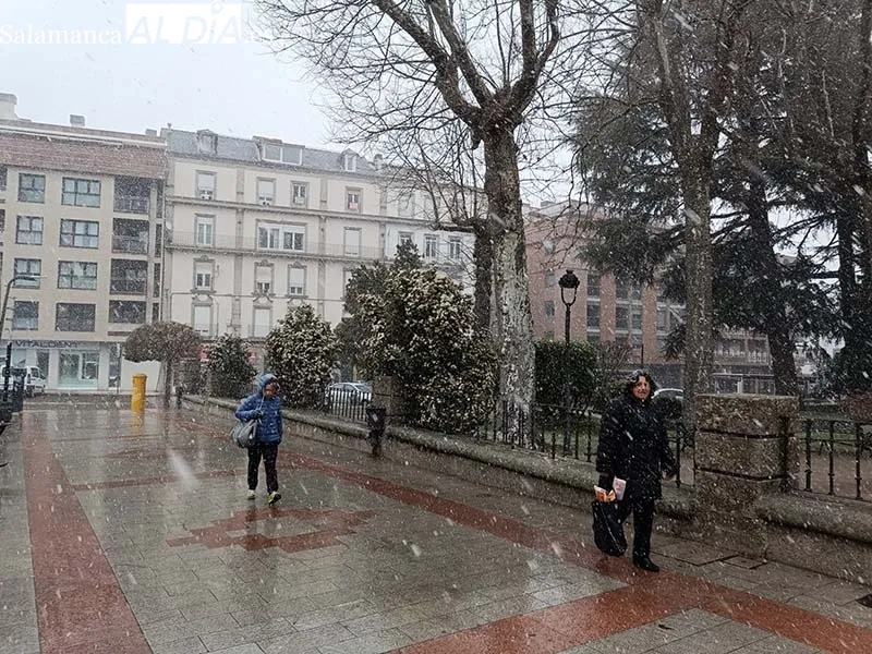 Foto 4 - La nieve comienza a caer en B&eacute;jar