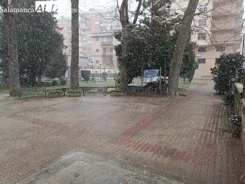 Foto 5 - La nieve comienza a caer en B&eacute;jar