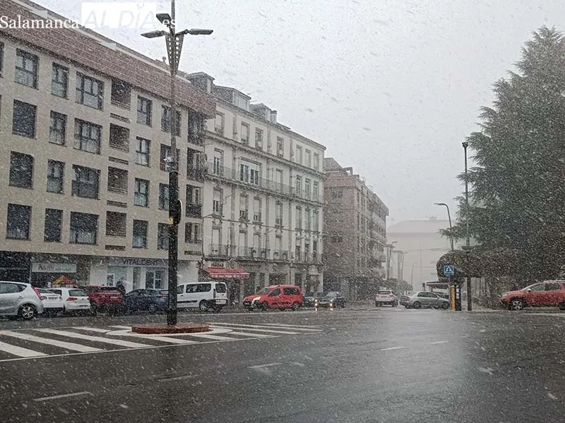 Foto 7 - La nieve comienza a caer en B&eacute;jar