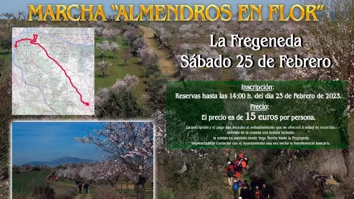 Senderistas en la ruta 'Almendros en flor' celebrada el pasado año