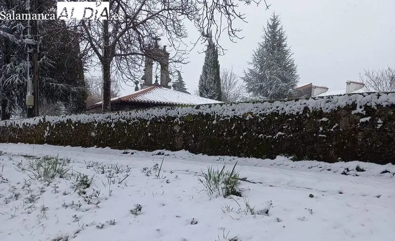 Nevada en La Alberca