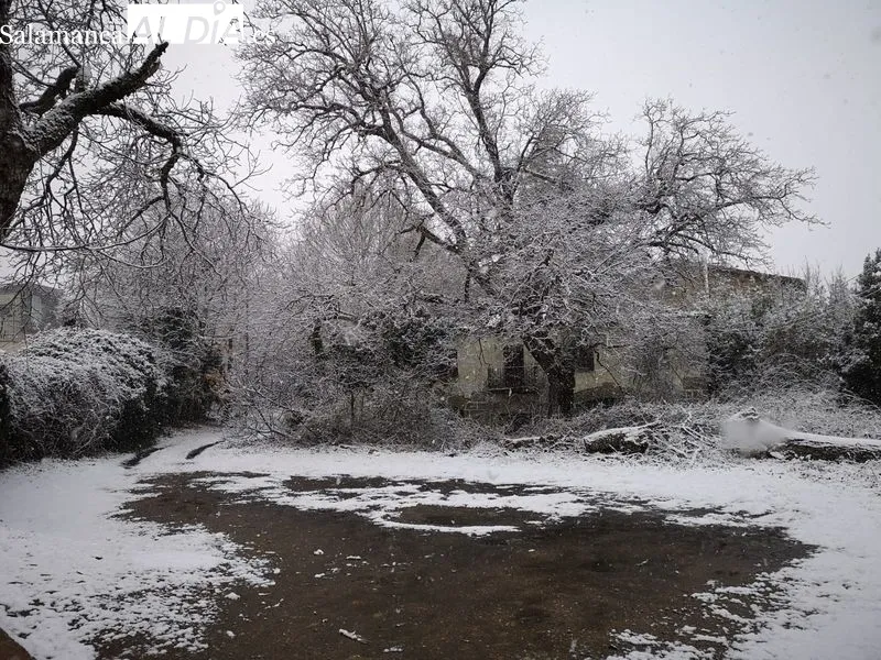 Nevada en La Alberca