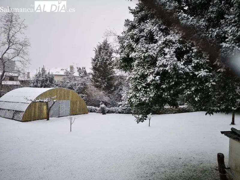 Nevada en La Alberca