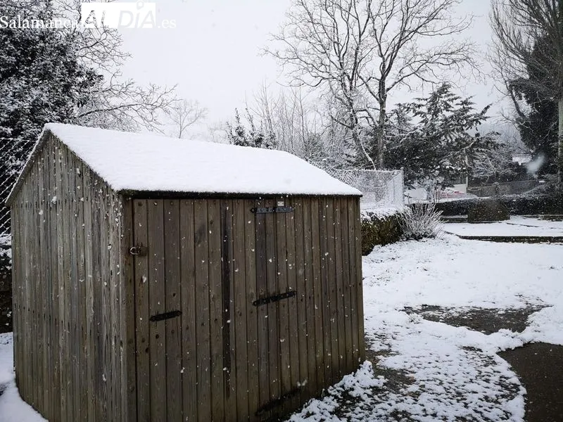 Nevada en La Alberca