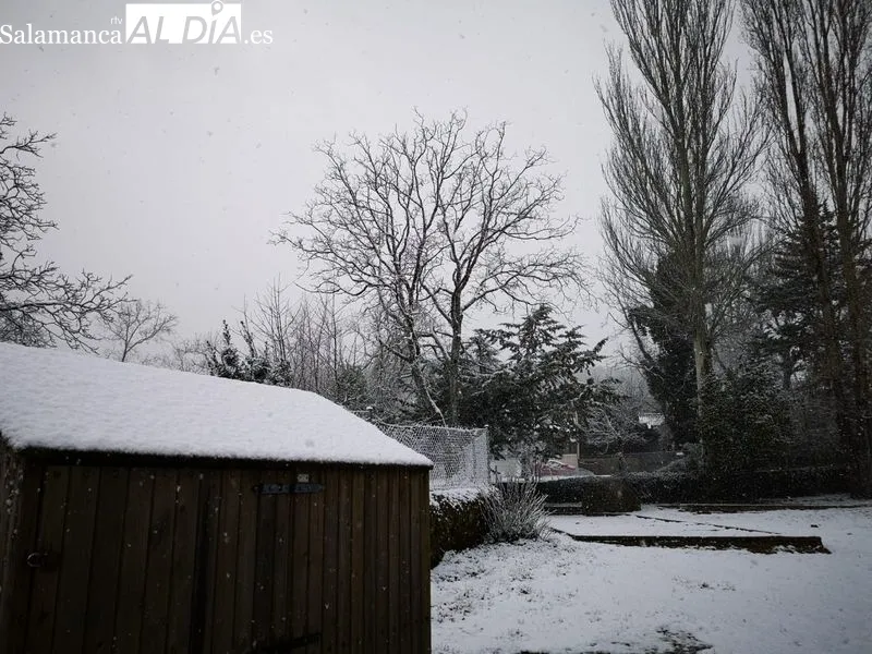 Nevada en La Alberca
