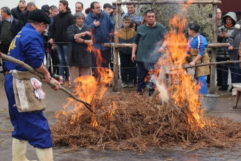 Foto 11 - La Matanza en homenaje al Carnaval