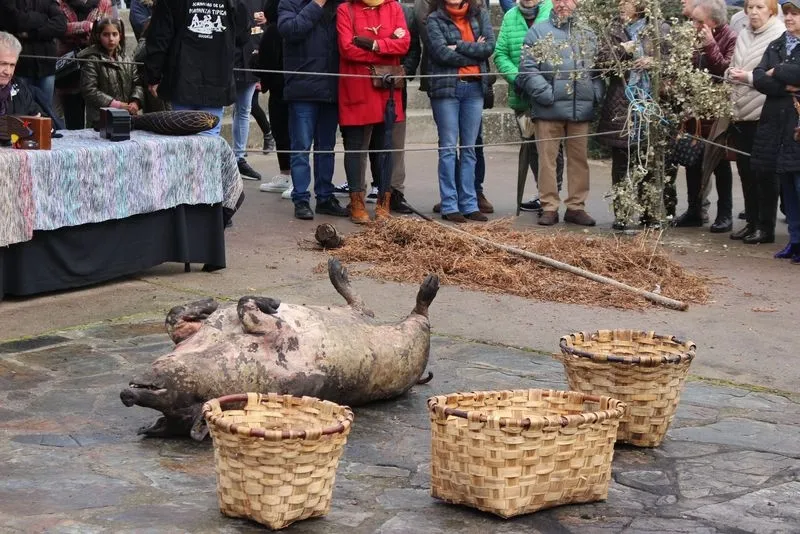 Foto 6 - La Matanza en homenaje al Carnaval