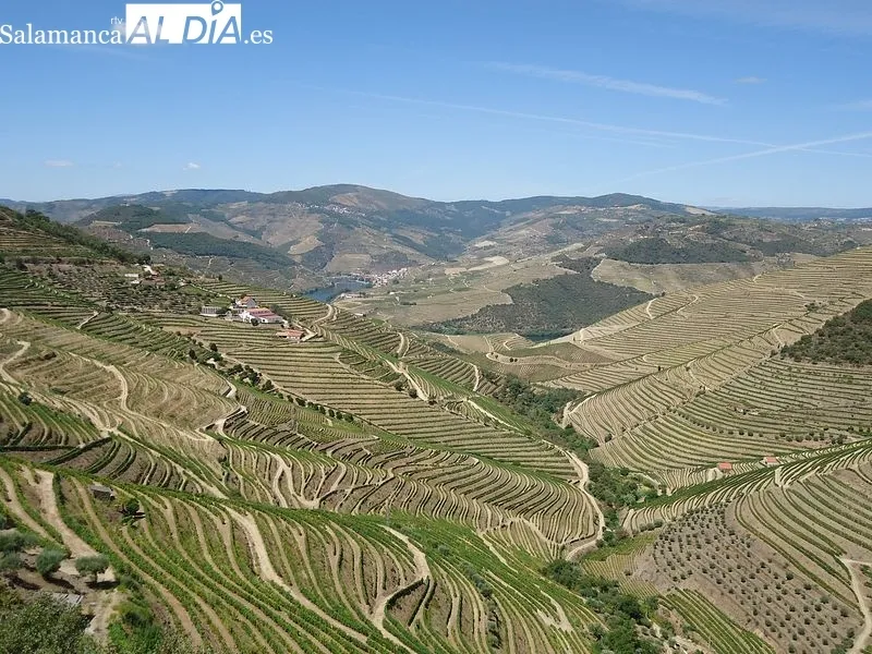 Douro, Capital Europea del Vino 2023 | FOTOS: MARTÍN-GARAY