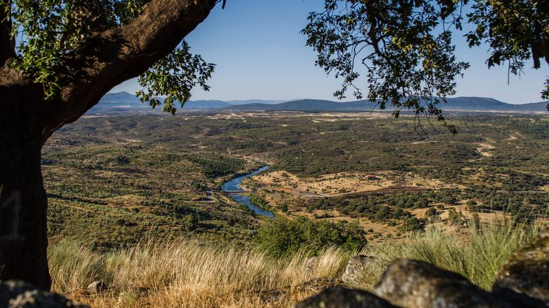 Landscape Together, arte en el paisaje fronterizo del Tajo Internacional