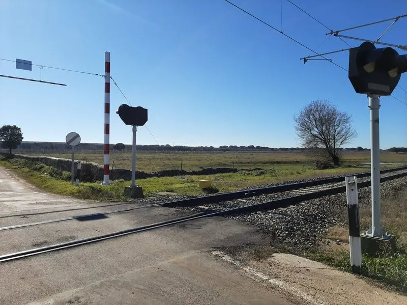 Foto 3 - La provincia de Salamanca rinde un emotivo homenaje a las v&iacute;ctimas del accidente ferroviario de Villar de los &Aacute;lamos
