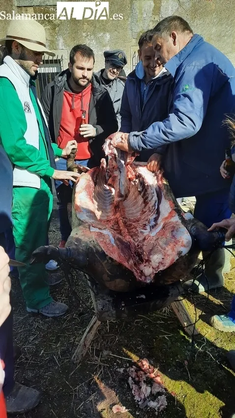 Fiesta de la Matanza Tradicional en Fuenteliante y auténtica manifestación gastronómica 