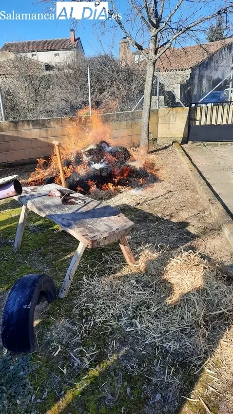 Fiesta de la Matanza Tradicional en Fuenteliante y auténtica manifestación gastronómica 