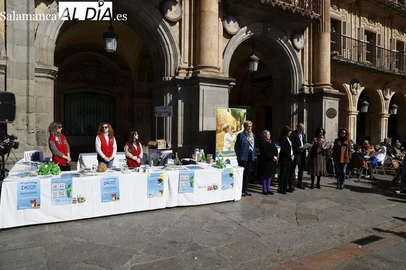 Día Internacional del Cáncer Infantil en la Plaza Mayor de Salamanca