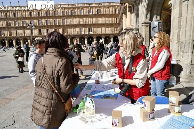 Día Internacional del Cáncer Infantil en la Plaza Mayor de Salamanca