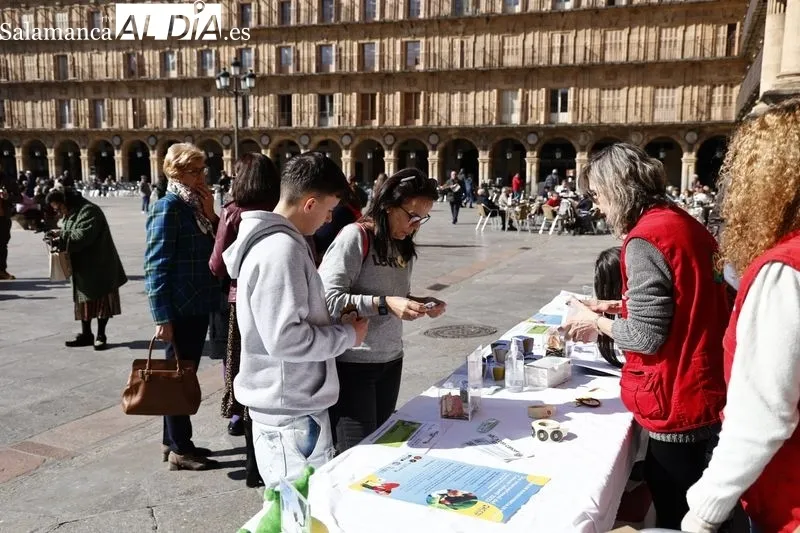 Día Internacional del Cáncer Infantil en la Plaza Mayor de Salamanca