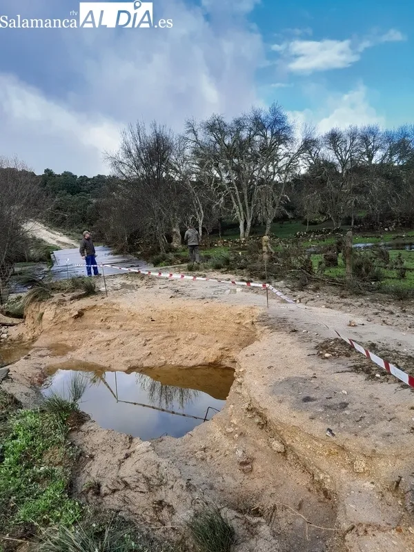 Los daños ocasionados por las lluvias pusieron contra las cuerdas a muchos ganaderos por no poder acceder al ganado en sus parcelas / ESTER CORREDERA