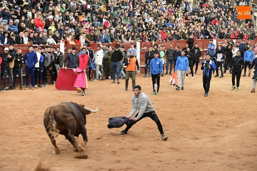 Foto 9 - Un fugaz desencierro completa una gran jornada de los astados de Villanueva