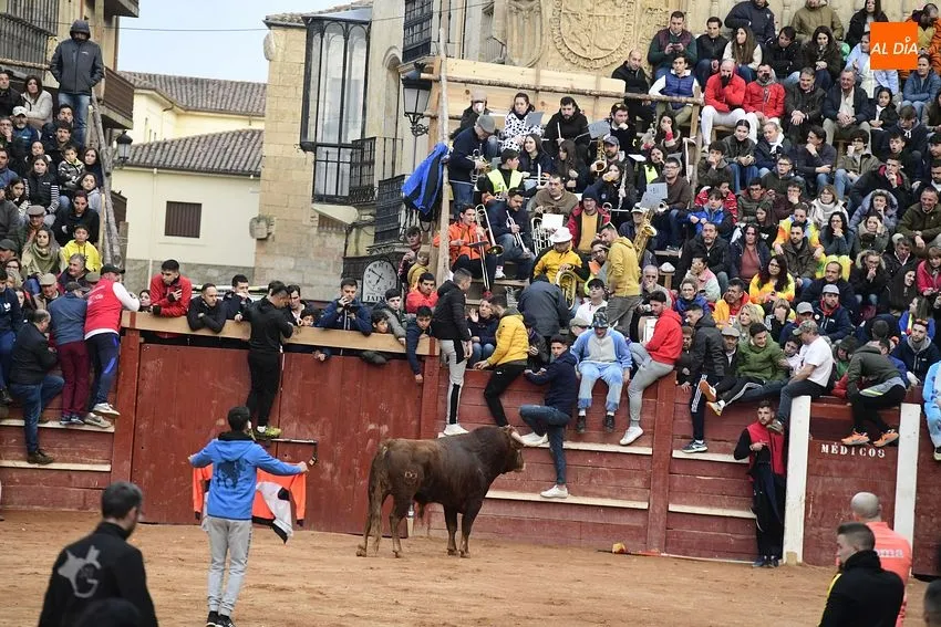 Foto 11 - Un fugaz desencierro completa una gran jornada de los astados de Villanueva
